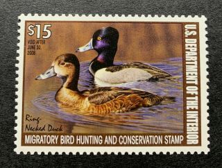 Wtdstamps - Rw74 2007 - Us Federal Duck Stamp - Og Nh Well Centered