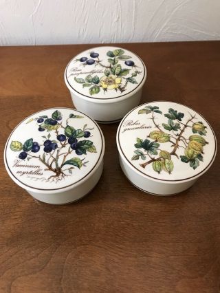3 Villeroy & Boch Botanica Trinket Dish W/lids - Bilberry,  Burnet Rose,  Gooseberry