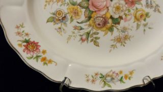 Large Oval Platter Vtg 1954 Marlborough Grindley England Royal Petal Pink Roses 3