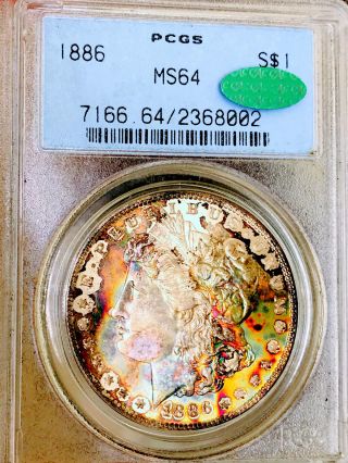 1886 P Morgan Dollar Pcgs Ms64 Cac Most Insane Rainbow Ever Best Color Nr 18603