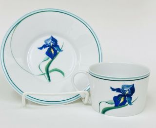 Ceralene Raynaud Limoges France Iris Pattern Flat Tea Cup And Saucer Set