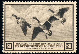 Us Rw3 $1 1936 Hunting Permit Stamp Canada Geese In Flight F - Vf Og Hinged