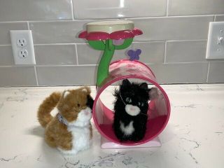 American Girl 2 Pets Cat Kitty Licorice & Ginger With Play Tower
