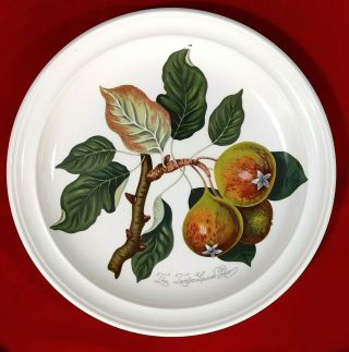 Portmeirion Pomona Susan Williams Squash Pear Dinner Dish Plate 10 1/2 "