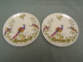 Vintage Spode Peacock Fine Bone China Dishes 8 " Diameter Vgc