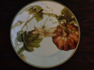 Williams Sonoma Botanical Pumpkin Thanksgiving Dinner Plate