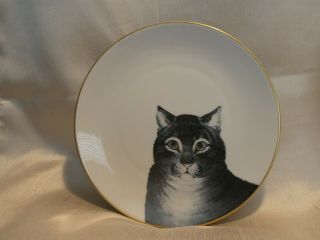 Metropolitan Museum Of Art " The Favorite Cat " Porcelain Collector Plate