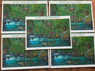 Vintage Stamps Pacific Coast Rainforest 1999 5 Sheets Face Value $16.  50