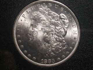 1883 - Cc Morgan Dollar Brilliant Uncirculated - Gsa Holder