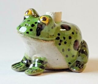 Tiny Tree Froggy Face Jug By Susi Nagoda Bergquist
