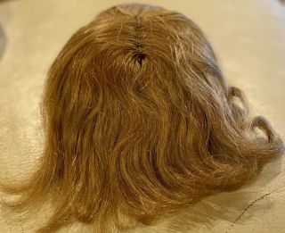 4 Antique 9 - 10 " Light Brown Human Hair Doll Wig