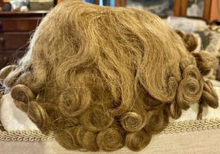 31 Antique 12 " Strawberry Blond Curly Human Hair Doll Wig