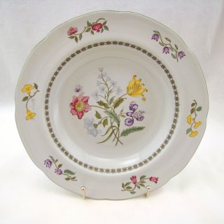 Spode Fine Stone Summer Palace England W150 Large Rimmed Soup Bowl (s)