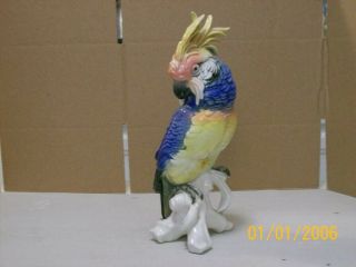 Karl Ens Porcelain Cockatoo Bird Figurine.