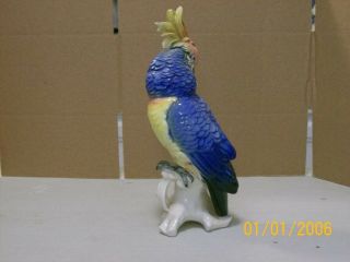 Karl Ens porcelain cockatoo bird figurine. 3