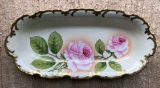 Marseille Z.  S & C Bavaria Royal Munich Hand Painted Celery Bowl Tray Pink Roses