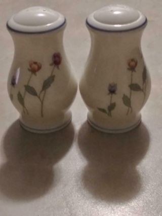 Vtg Gorham Town & Country Fine China Country Flowers Salt & Pepper Set