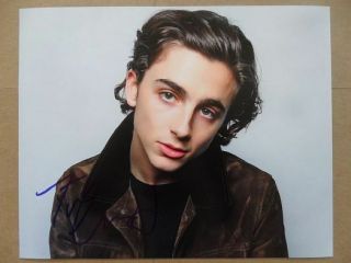 Timothee Chalamet Signed //autographed Photo " Call Me By Your Name "