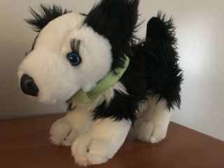 Build A Bear Workshop Girl Scout Cookie Employee Border Collie Puppy Dog Plush