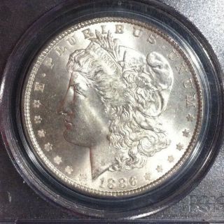 1886 Morgan Silver Dollar Pcgs Ms 65 Vam 1a Line In 6 Top 100