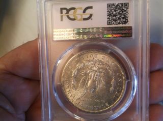 1886 S Morgan Dollar Pcgs Au 55 Almost Uncirculated Looks Better