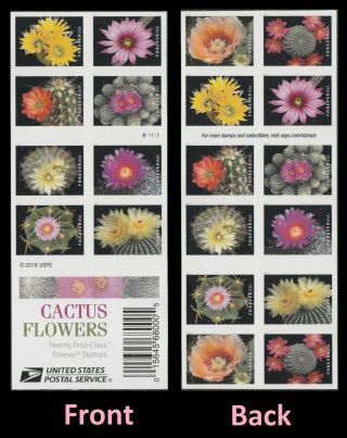 Us 5350 - 5359 5359b Bk323 Cactus Flowers Forever Booklet (20 Stamps) Mnh 2019