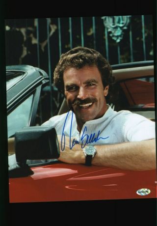Tom Selleck " Magnum P.  I.  " Hand Signed 8x10 Autographed Photo With
