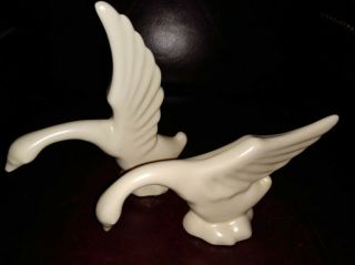 Vtg 1950s Mid - Century Modern Royal Haeger Pottery Pr Classic Swan Birds 7” X 3½”