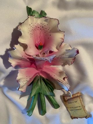 Vtg Capodimonte Porcelain Pink Purple Iris Flower Handmade In Italy