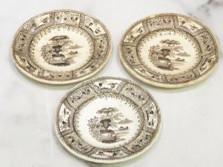 Set Of 3 Staffordshire Transferware Brown Cup Plates Canova Style 3 5/8 "