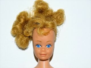 Vintage Barbie`s Friend Midge Doll With Blonde Hair 1958 1962
