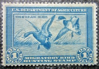 1934 Rw1 Us Fed Duck Stamp Migratory Bird Hunting License 1935 Postage Stamp Usa
