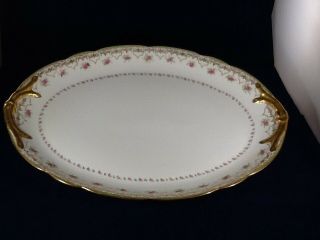 Antique J.  Pouyat Limoges France Porcelain 17 " Oval Platter Scalloped Gold Trim