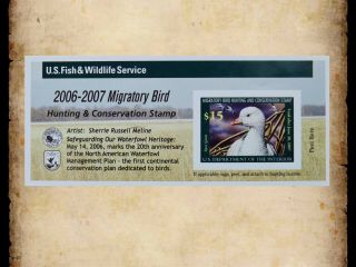 Us Federal Duck Stamps Rw73a $15 2006 - 2007 Sheet Mnh Self Adhesive