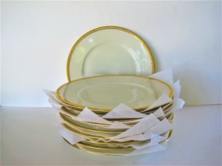 Choose Trianon Dinner Plates Gold Rims Black Knight Bavaria Porcelain