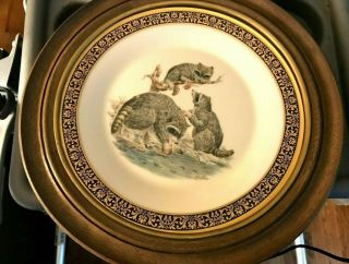 Framed Boehm,  Lenox,  Woodland And Wildlife Plate - Racoons