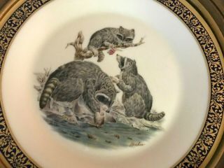 FRAMED BOEHM,  LENOX,  WOODLAND AND WILDLIFE PLATE - RACOONS 2