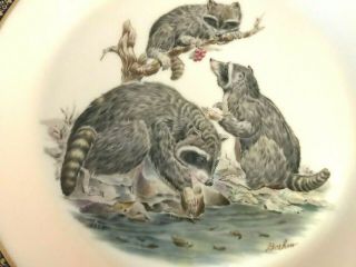 FRAMED BOEHM,  LENOX,  WOODLAND AND WILDLIFE PLATE - RACOONS 3