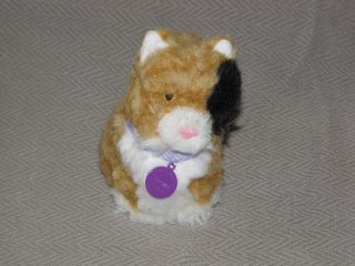 American Girl Doll Calico Cat Kitten Ginger 5 " Stuffed Plush Toy With Collar