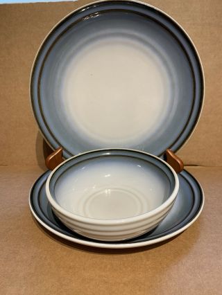 Noritake Stoneware Sorcerer 8620 Two Dinner Plates & One Cereal Bowl