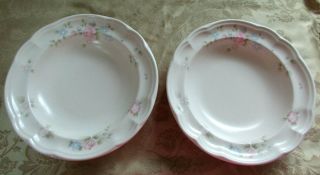 Pfaltzgraff Tea Rose Rimmed Soup Bowl / Pasta Bowl Set Of 2 Bowls 9 Inch