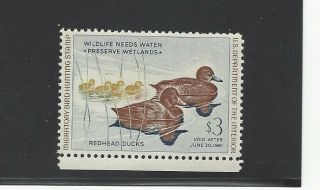 U.  S.  Duck Stamp From 1960 Never Hinged
