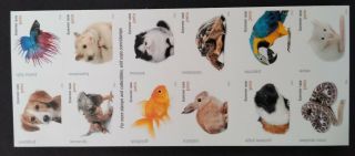 Pets - Scott 5106 - 5125 Booklet Pane Of 20 Stamps Mnh