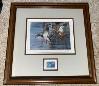 Framed And Matted 1983 North Carolina Duck Stamp Print
