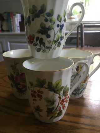Royal Kendal Fine Bone China Floral Mugs Made In Stafordshire England Set Of 4