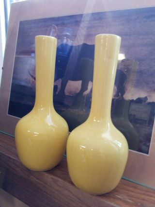 Vintage Royal Haeger Bud Vases Rg - 68 Yellow 7.  25 " H