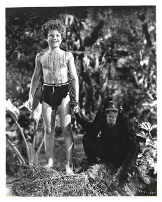 Autographed Picture Of Movie & Tv Actor Johnny Sheffield - Tarzan