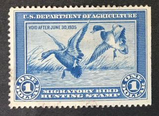 1934 Migratory Bird Hunting Stamp Blue Scotts Rw1 Usda Un - Perf Right Side