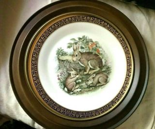 Framed Boehm,  Lenox,  Woodland And Wildlife Plate - Cottontail Rabbits