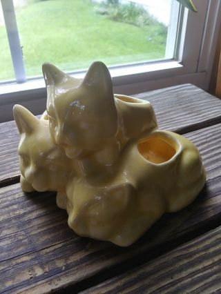 Vintage Mccoy Pottery Yellow 3 Cats Kittens Planter Cactus 5.  5 " W 3.  75 " H